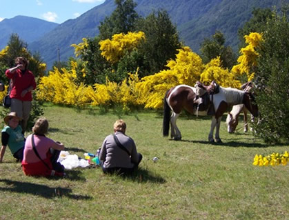 Trailreiten in Chile und Argentinien, Pausenplatz am Trancura